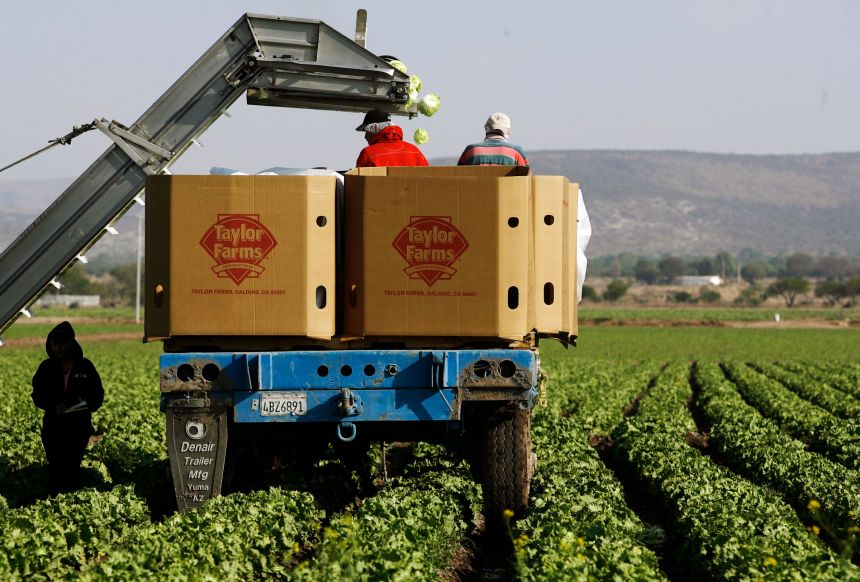 Taylor Farms lettuce remains the focus of cyclosporiasis investigation, despite false positive test